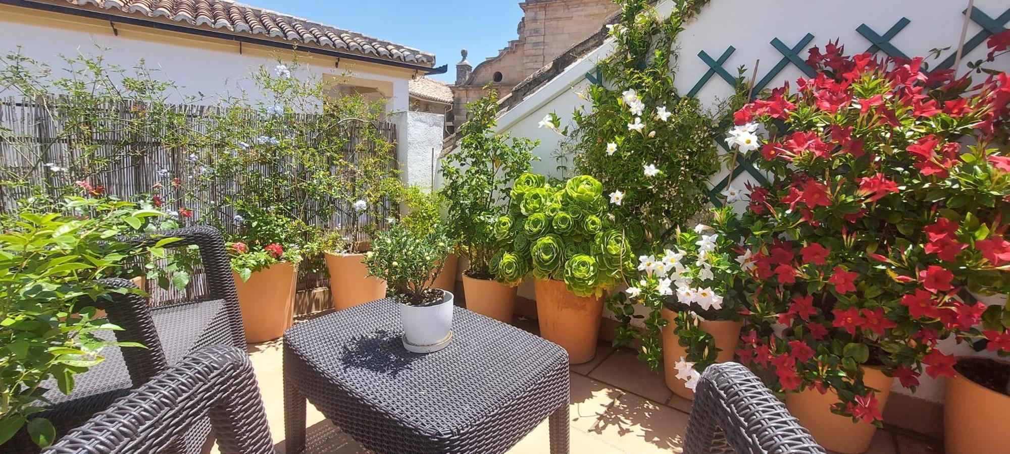 Apartamentos Los Descalzos Angel With Private Terrace Free Parking Ronda Exterior foto