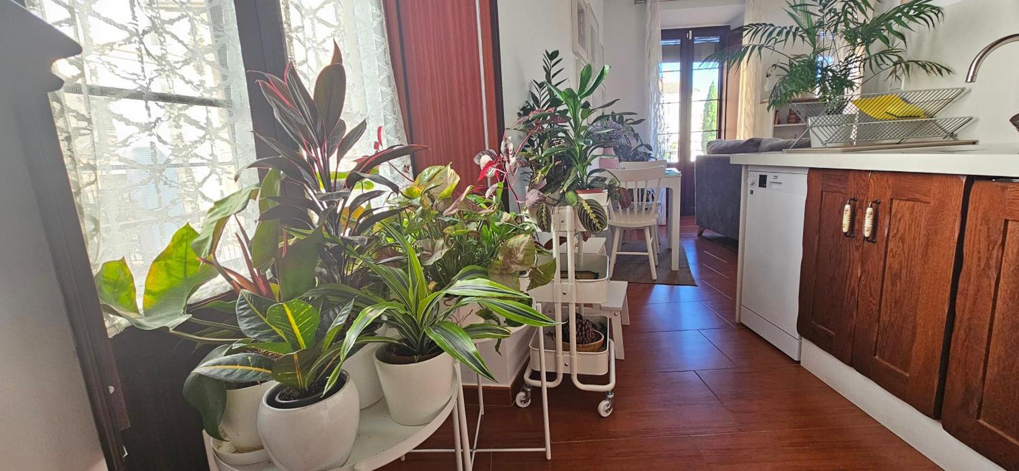 Apartamentos Los Descalzos Angel With Private Terrace Free Parking Ronda Exterior foto